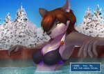 2016 anthro bikini bikini_top black_bikini_top black_nose blurred_background bracelet breasts brown_hair canid canine canis chest_tuft cindi_(foxboy83) clothed_female clothing dialogue_box ear_piercing exposure_variation eyebrows eyelashes feather_ear_ring female female_anthro hair hair_over_eye hi_res hot_tub jewelry littlenapoleon looking_at_viewer mammal one_eye_obstructed piercing plant smile snow solo steam swimwear talking_to_viewer tree tuft two-piece_swimsuit water winter wolf yellow_eyes