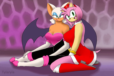 anthro big_breasts big_butt boots bottomwear bra breasts butt clothing dress duo eyeshadow female footwear gloves handwear heart_symbol leotard makeup pants shoes tail thick_thighs underwear wings tylaryla sega sonic_riders sonic_the_hedgehog_(series) amy_rose rouge_the_bat bat eulipotyphlan hedgehog mammal 3:2 animated hi_res