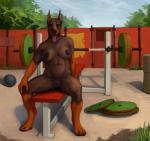 2013 abs anthro barbell biped breasts brown_body brown_fur canid canine canis clitoris dobermann domestic_dog female fur genitals hi_res holding_object looking_at_viewer mammal morticus nipples nude outside pinscher prick_ears pussy sitting solo tongue tongue_out weight_bench