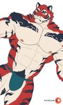 abs anthro asian_clothing clothing east_asian_clothing fundoshi fur japanese_clothing male muscular muscular_anthro muscular_male nipples pecs pubes red_body red_fur solo striped_body striped_fur stripes underwear kusunagi crave_saga yata_no_kagami_(crave_saga) felid mammal pantherine tiger