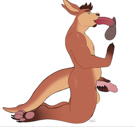 anthro belly bodily_fluids brown_body cum cum_in_mouth cum_inside duo ear_piercing ejaculation eyebrows facial_hair facial_piercing fellatio flaccid genital_fluids genitals glory_hole humanoid_genitalia humanoid_penis kneeling lip_piercing male male_anthro male_penetrated masturbation navel navel_piercing nipples nose_piercing nose_ring nude oral pawpads penetration penile penile_masturbation penis piercing ring_piercing sex simple_background slightly_chubby slightly_chubby_anthro slightly_chubby_male solo white_background freakdan1el rye_(runneroo) kangaroo macropod mammal marsupial 2d_animation absurd_res animated hi_res motion_tweening short_playtime sound video