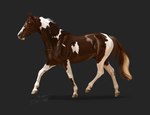 ambiguous_gender brown_body brown_ears brown_mane brown_tail feral grey_background mane mouth_closed quadruped side_view simple_background solo tail tan_tail white_body white_mane scarlanya equid equine horse mammal detailed