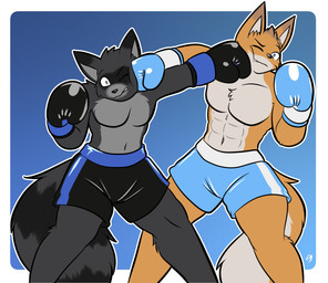 abs anthro boxing boxing_gloves boxing_shorts clothing duo face_punch handwear male punch sport vulpinecrew canid canine canis coyote mammal procyonid raccoon absurd_res hi_res