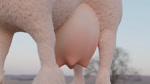 animal_genitalia animal_pussy big_udders bovine_genitalia bovine_pussy bovine_tail female feral genitals nipples pink_nipples pussy solo teats udders walking tyedie bovid bovine cattle mammal 16:9 3d_(artwork) animated digital_media_(artwork) hi_res no_sound short_playtime webm widescreen