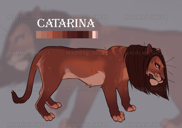 ambiguous_gender brown_body brown_eyes brown_fur brown_nose brown_tail feral fur looking_at_viewer mouth_closed side_view solo tail whiskers justkiddinb felid lion mammal pantherine model_sheet