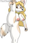 anthro blonde_hair collar collar_only female flexible genitals hair nipples nude one_leg_up pussy raised_leg solo splits spread_legs spreading standing tail vertical_splits thewholof554 naked_penny penny_fenmore canid canine fennec_fox fox mammal true_fox 3:4