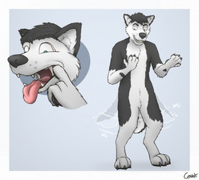 after_transformation anthro blue_eyes border consensual_transformation featureless_crotch fur happy head_tuft looking_at_self male mask mid_transformation multicolored_body multicolored_fur nude simple_background smile solo standing suit_transformation tail tail_motion tailwag teeth text tongue tongue_out tongue_sleeve transformation tuft two_tone_body two_tone_fur white_border cervalt hiero_(hierohusky) canid canine canis domestic_dog human husky mammal nordic_sled_dog spitz 2024 artist_name digital_drawing_(artwork) digital_media_(artwork) hi_res sequence