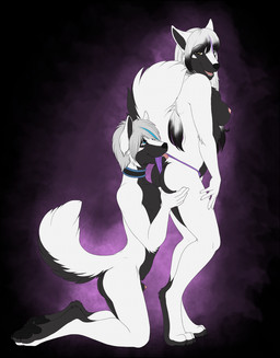 accelo anthro breasts brother brother_and_sister butt canine clothed clothing collar duo female half-dressed incest kneeling male mammal nipples nude pawpads paws penis penis_tip sheath sibling side_boob sister topless twincest twins wolf
Rating: Explicit
Score: 29
User: HoboAssassin
Date: May 10, 2014 accelo anthro breasts brother brother_and_sister butt canine clothed clothing collar duo female half-dressed incest kneeling male mammal nipples nude pawpads paws penis penis_tip sheath sibling side_boob sister topless twincest twins wolf
Rating: Explicit
Score: 29
User: HoboAssassin
Date: May 10, 2014