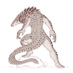 2021 ambiguous_gender anthro caraid claws digital_media_(artwork) feet fingers hi_res mammal monochrome pangolin rear_view scales signature simple_background solo toes were werepangolin white_background