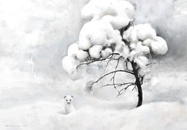 black_eyes black_nose dead_tree feral fur plant quadruped snow solo tree white_body white_fur winter renum63 mammal mustelid musteline true_musteline weasel 2015 artrage_(artwork) digital_media_(artwork)