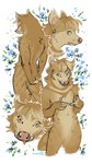 anthro ear_piercing flower fur male multicolored_body multicolored_fur piercing plant simple_background solo two_tone_body two_tone_fur lostgoose mammal viverrid 2024 9:16 colored_sketch hi_res sketch sketch_page