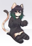 anthro black_hair blush brown_body brown_fur clothed clothing fur green_hair hair hoodie legwear looking_at_viewer pattern_clothing pattern_legwear pattern_thigh_highs simple_background solo striped_clothing striped_legwear striped_thigh_highs stripes thigh_highs topwear white_background white_body white_fur bitterk4t domestic_cat felid feline felis mammal 2024 digital_drawing_(artwork) digital_media_(artwork) hi_res