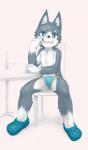 4_fingers :3 anthro big_eyes biped black_nose blue_clothing blue_speedo blue_swimwear briefs bulge chair clothed clothing collarbone fingers footwear front_view fur furniture gloves_(marking) grey_body grey_fur grin kemono leaning looking_at_viewer male markings multicolored_body multicolored_fur nipples orange_clothing orange_speedo orange_swimwear pink_nipples shoes simple_background sitting skimpy slim slim_anthro slim_male smile smirk snout solo speedo spread_legs spreading swimwear table teal_crocs teal_eyes teeth two_tone_body two_tone_fur two_tone_speedo underwear white_background white_body white_chair white_fur white_table young young_anthro young_male kuroisumi crocs canid canine mammal hi_res