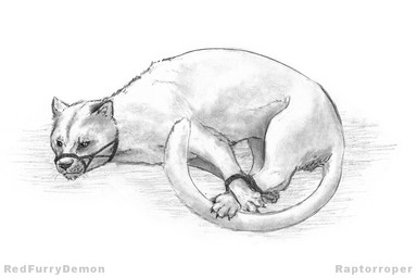 bdsm bondage bound claws feral muzzle_(object) muzzled restraints rope rope_bondage simple_background solo white_background redfurrydemon cougar felid feline lion mammal pantherine greyscale monochrome traditional_media_(artwork)