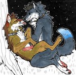 anal anal_penetration animal_genitalia animal_penis anthro black_claws black_nose black_pawpads blue_eyes blue_tail_tip brown_body brown_fur canine_genitalia canine_penis claws collar dipstick_tail duo feral fur genitals grey_body grey_fur grey_tail knot male male/male markings pawpads penetration penis pink_pawpads red_eyes tail tail_markings tongue tongue_out whiskers heatherwolf canid canine canis coyote fox hybrid mammal wolf hi_res