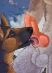 anatomically_correct animal_genitalia anthro balls bodily_fluids brown_body brown_eyes brown_fur duo erection fur genital_fluids genitals grey_body grey_fur knot licking looking_up male male/male oral penis precum saliva sheath solo_focus teeth tongue tongue_out alaitallon canid canine canis domestic_dog german_shepherd herding_dog husky mammal nordic_sled_dog pastoral_dog spitz 2017 digital_media_(artwork)