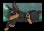 anthro chibi feral male sleeping solo tired thehuntingwolf carbon canid canine canis dobermann domestic_dog mammal pinscher alpha_channel digital_media_(artwork) full-length_portrait portrait