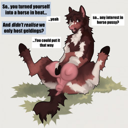 after_transformation anus big_teats black_hooves brown_body brown_eyes brown_fur brown_hair brown_tail dialogue female feral fluffy fluffy_tail fur genitals grass hair hooves in_heat mottled mottled_body mottled_fur nature nature_background nipples open_mouth pink_anus pink_inner_ear pink_mouth pink_nose pink_teats pink_tongue pink_vulva plant raised_hoof reclining red_body red_fur simple_background solo speech_bubble spread_legs spreading tail teats teeth text tongue transformation vulva white_background white_body white_fur trailofanimals equid equine mammal 1:1 english_text hi_res