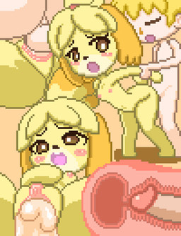 anthro anthro_penetrated arm_grab arm_pull backsack balls biped blonde_hair blush bodily_fluids breasts brown_eyes clitoris cum cum_in_uterus cum_in_vagina cum_inside cutaway duo ejaculation erection eyes_closed female female_on_human female_penetrated floppy_ears from_behind_position fur genital_fluids genitals hair human_on_anthro human_penetrating human_penetrating_anthro humanoid_genitalia humanoid_penis internal interspecies light_body light_skin male male/female male_on_anthro male_penetrating male_penetrating_female multiple_angles nipples nude open_mouth orgasm penetration penile penile_penetration penis penis_in_vagina prison_guard_position sex small_breasts throbbing uterus vaginal vaginal_penetration vulva yellow_body yellow_fur uramomo animal_crossing nintendo isabelle_(animal_crossing) villager_(animal_crossing) canid canine canis domestic_dog human mammal shih_tzu toy_dog animated digital_media_(artwork) pixel_(artwork) pixel_animation