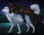 amber_eyes black_body black_fur blue_body blue_eyes blue_fur duo female female_penetrated feral feral_on_feral feral_penetrated feral_penetrating feral_penetrating_feral fur grey_body grey_fur looking_pleasured male male/female male_penetrating male_penetrating_female orange_body orange_fur outside penetration raised_tail sex tail tongue tongue_out vaginal vaginal_penetration white_body white_fur barndog barndog_(barndog) kael_(beleynn) canid canine canis mammal wolf hi_res