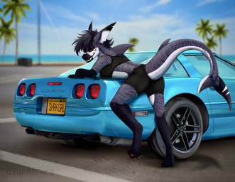4_toes anthro barefoot beach big_tail blue_car bottomwear car classic_car claws clothing feet female fin leaning leaning_forward parking_lot pointy_ears red_claws red_eyes sharp_teeth shorts smile solo sport stripes suggestive sunny tail teeth toes vehicle cyberspaceart chevrolet chevrolet_corvette vampir_(cyberspaceart) aquatic fish requiem_shark shark tiger_shark absurd_res hi_res