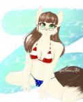 american_flag_bikini anthro bikini breasts brown_hair clothing eyewear female flag flag_bikini flag_clothing flag_print flag_swimwear glasses hair print_bikini print_clothing print_swimwear solo swimwear two-piece_swimsuit sugarfoxxart carrot_kingdom maomaogames felid mammal