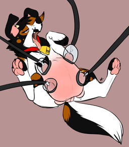 blush brown_background canine collar cowbell dog fangs female feral heather_(character) lactating mammal milking_machine murcat open_mouth paws plain_background pussy solo teats tongue udders
Rating: Explicit
Score: 3
User: baracudaboy
Date: December 16, 2014 blush brown_background canine collar cowbell dog fangs female feral heather_(character) lactating mammal milking_machine murcat open_mouth paws plain_background pussy solo teats tongue udders
Rating: Explicit
Score: 3
User: baracudaboy
Date: December 16, 2014