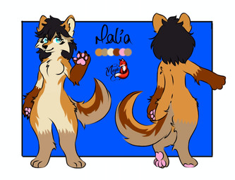 anthro black_hair blue_eyes brown_paws female fur hair kemono looking_at_viewer orange_body orange_fur pawpads pink_pawpads simple_background solo ghostarts malia_(ghostarts) canid canine canis coyote mammal digital_media_(artwork) model_sheet