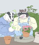 2024 anthro badger black_body black_nose bottomwear brown_body clothing duo eyes_closed flower gardening hi_res kemono laugh male mammal mustelid musteline nookdae open_mouth overalls overweight overweight_male pants plant procyonid raccoon shirt topwear white_body