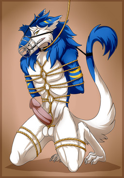 anthro balls bdsm bondage bound erection genitals male muzzle_(object) muzzled penis rope sergal_penis solo submissive submissive_male tail tapering_glans wire_basket_muzzle silvergrin zetsin sergal absurd_res hi_res
