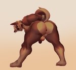 angry anthro anus balls bent_over brown_body butt darkened_genitalia darkened_penis fluffy fur gasp genitals hands_behind_back male muscular muscular_anthro muscular_male open_mouth pecs penis rear_view simple_background solo spread_legs spreading standing tan_body tan_fur snaftfc canid canine mammal absurd_res hi_res