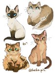 :3 ambiguous_gender blue_eyes brown_body brown_eyes brown_fur feral fluffy fur green_eyes paws simple_background sitting solo tail tan_body tan_fur text whiskers ineka domestic_cat felid feline felis mammal 2024 3:4 hi_res japanese_text signature