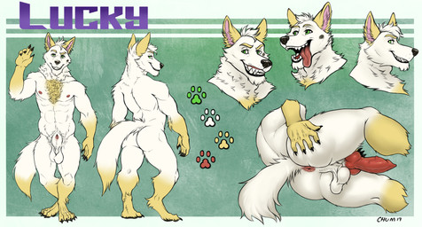 abs animal_genitalia animal_penis anthro anus balls butt butt_focus canine_genitalia canine_penis dipstick_tail erection front_view fur genitals gloves_(marking) green_eyes grin hair leg_markings lying male male_anthro markings nipples nude on_side open_mouth open_smile pecs penis penis_tip perineum rear_view red_anus red_nipples sheath short_hair simple_background smile socks_(marking) solo spread_butt spreading tail tail_markings white_balls white_body white_fur white_hair white_sheath yellow_markings chumbasket canid canine mammal 2019 absurd_res dated hi_res model_sheet signature