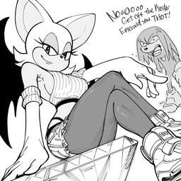 angry anthro armwear bottomwear breasts clothing cross-popping_vein crossed_legs denim denim_bottomwear denim_clothing denim_shorts duo elbow_gloves eyelashes female footwear g-string gloves handwear leggings legwear looking_at_viewer male male/female medium_breasts pose seductive shoes shorts side_boob side_view sneakers text underwear baalbuddy sega sonic_the_hedgehog_(series) knuckles_the_echidna rouge_the_bat bat echidna mammal monotreme 1:1 absurd_res english_text hi_res monochrome pinup