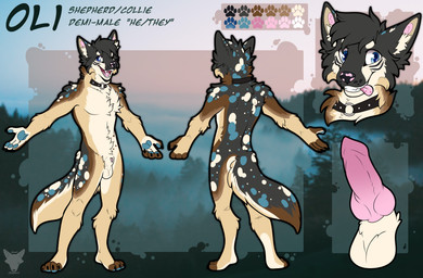 anthro genitals knot knotted_penis male penis solo scarfshepherd oli canid canine canis collie domestic_dog herding_dog mammal pastoral_dog sheepdog absurd_res hi_res model_sheet