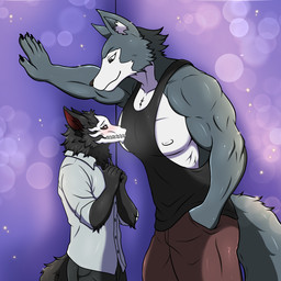 anthro black_body black_fur blush bone clothing collared_shirt dress_shirt duo fur grey_body grey_fur hand_against_wall kabedon leaning leaning_forward looking_at_another looking_down looking_up male male/male muscular muscular_male nervous nipples pecs shirt simple_background size_difference skull skull_head standing tail tank_top topwear zalel beastars legoshi_(beastars) nazukio canid canine kryptid mammal 1:1 absurd_res hi_res