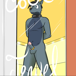 accessory anthro bdsm cock_ring collar erection genitals humanoid_genitalia humanoid_penis jewelry lights male nude penis penis_accessory penis_jewelry roling slave solo window fuze canid canine canis mammal wolf 1:1 story story_in_description