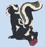 anthro balls butt from_behind_position fur genitals looking_back male multicolored_body multicolored_fur nude pawpads paws pose raised_tail sex skunk_tail solo tail teasing tongue kittbites kaden_(luniethewolf66) mammal mephitid skunk pinup