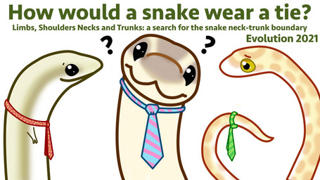 confusion feral group looking_aside necktie side_view smile tail text trio unknown_artist legless_lizard reptile scalie snake 16:9 absurd_res english_text hi_res widescreen
