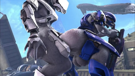 4_fingers abs anal anal_penetration armor balls big_balls big_butt big_penis bouncing_butt bouncing_penis butt duo fingers from_behind_position genitals grey_body gun huge_butt intraspecies male male/male male_penetrated male_penetrating male_penetrating_male outside penetration penis ranged_weapon sex spacecraft standing standing_doggystyle standing_sex unconvincing_armor vehicle weapon yellow_eyes rayhuma akkoarcade_(modeler) halo_(series) microsoft xbox_game_studios alien sangheili scalie 2025 3d_(artwork) 3d_animation animated better_version_at_paywall digital_media_(artwork) high_framerate no_sound short_playtime source_filmmaker_(artwork) video