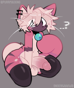 anthro balls bell bell_collar black_clothing black_legwear black_thigh_highs clothing collar collar_only femboy fur genitals hand_between_legs kneeling legwear legwear_only male markings mostly_nude nude nude_male penis piercing pink_body pink_fur question_mark sitting solo spots spotted_body spotted_fur striped_body striped_fur stripes tan_body tan_fur thick_thighs thigh_highs thigh_highs_only whiskers purrmaxxing glue_(purrmaxxing) domestic_cat felid feline felis mammal hi_res