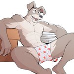 abs anthro anthrofied big_muscles box boxers_(clothing) bulge clothed clothing container countershade_face countershade_torso countershading eyebrows fur grey_body grey_fur heart_boxers heart_clothing heart_symbol heart_underwear male muscular muscular_anthro muscular_male navel open_mouth open_smile pecs simple_background sitting smile solo teeth tongue topless topless_anthro topless_male tuft underwear white_background white_body white_countershading white_fur jrjresq disney lady_and_the_tramp tramp_(lady_and_the_tramp) canid canine canis domestic_dog mammal schnauzer 1:1 2022 hi_res