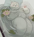 anthro bed belly blush eyes_closed fur furniture humanoid_hands lying male moobs nipples overweight overweight_anthro overweight_male solo water white_body white_fur awa_awa bear mammal 2020 hi_res