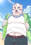 anthro beach belly blush bottomwear clothing humanoid_hands kemono male outside overweight overweight_anthro overweight_male pants seaside shirt solo topwear water ryuta-h bear mammal 2018 hi_res