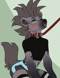 anthro begging begging_for_sex bottomwear clothing collar crop_top leash leash_pull leashed_collar male shirt shorts solo tight_bottomwear tight_clothing tight_shirt tight_shorts tight_topwear topwear sketchingerrror hyena mammal
