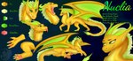 female green_eyes orange_body pawpads solo tail wings alanora mythology fan_character dragon mythological_creature mythological_scalie scalie hi_res model_sheet