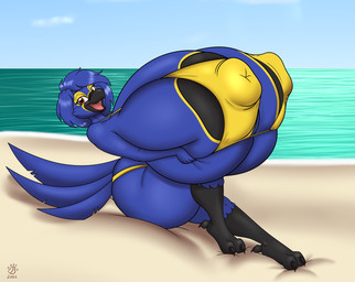 anthro areola areola_slip beach beak big_breasts bikini biped black_areola black_beak blue_body blue_feathers breasts clothing feathers female holding_breast huge_breasts hyper hyper_breasts looking_at_viewer nipple_outline outside seaside solo swimwear two-piece_swimsuit year yellow_bikini yellow_clothing yellow_swimwear badgerben patrica_(hyacinth) avian bird hyacinth_macaw macaw neotropical_parrot parrot true_parrot 2022 absurd_res hi_res