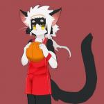 anthro ball basketball_(ball) big_eyes biped black_body black_fur bottomwear clothed clothing fully_clothed fur hair holding_ball holding_object jersey looking_at_viewer male shirt shorts solo standing tank_top topwear whiskers white_body white_fur white_hair wristband yellow_eyes whiteleo kay_(whiteleo) domestic_cat felid feline felis mammal 1:1 hi_res