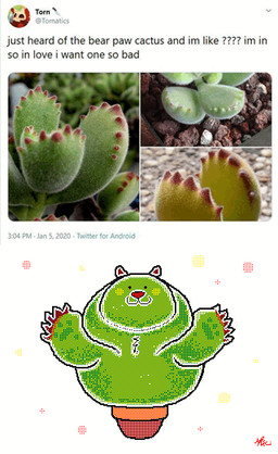 ambiguous_gender black_text cactus comparison dot_eyes feral front_view green_body photo plant plant_pot potted_plant red_nose semi-anthro simple_eyes solo text keke_(artist) bear cotyledon_tomentosa elemental_creature flora_fauna mammal 2d_animation animated english_text frame_by_frame multiple_images