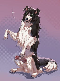 abstract_background animal_genitalia animal_penis balls bared_teeth black_body black_fur canine_genitalia canine_penis digitigrade dipstick_tail erection fangs feral floppy_ears fluffy fur genitals knot looking_at_viewer male male_feral markings multicolored_body multicolored_fur musky_penis paws penis saggy_balls sheath solo sparkles tail tail_markings teeth two_tone_body two_tone_fur vein veiny_penis white_body white_fur aseniyaaa skuru_(character) border_collie canid canine canis collie domestic_dog herding_dog mammal pastoral_dog sheepdog colored digital_media_(artwork) hi_res shaded